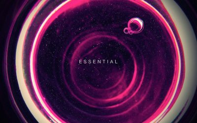 Essential Visions: A 2025 Showcase of Bold Creative Portfolios