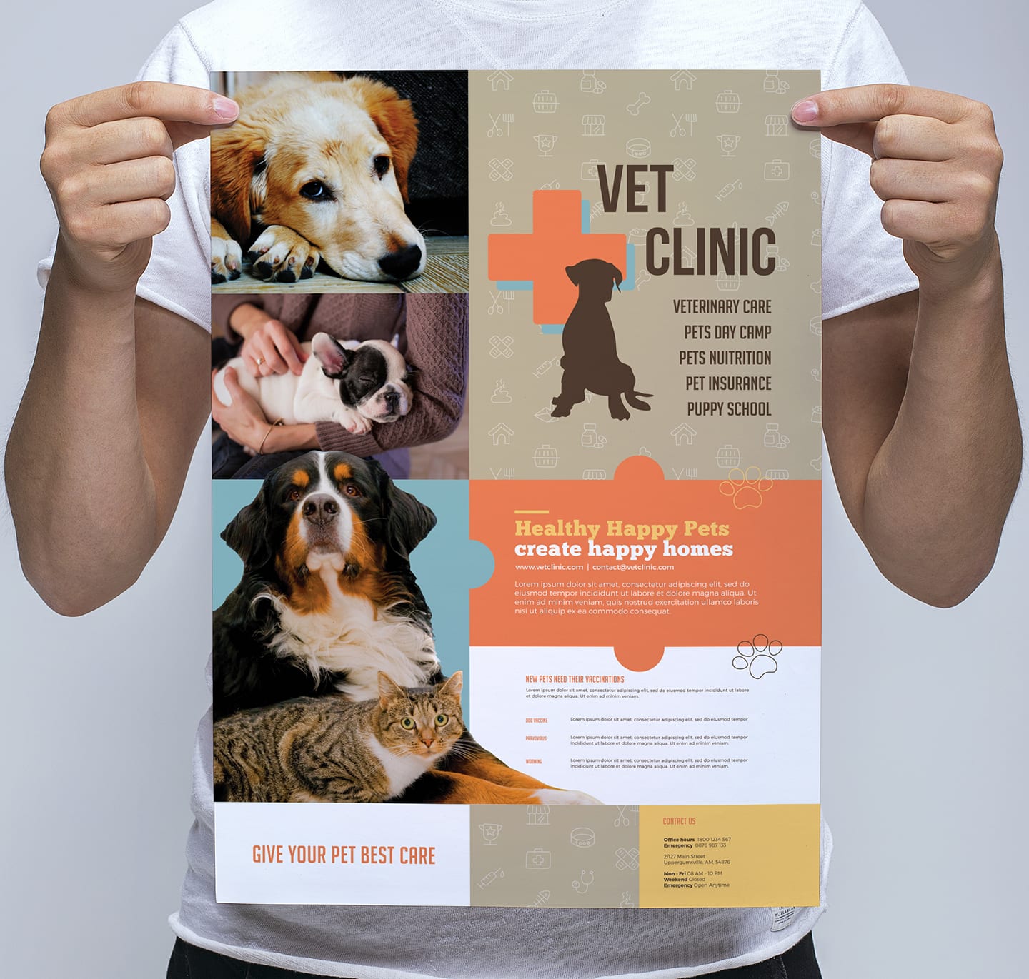 veterinary-leaflet-design-print